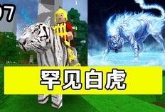 重装上阵最新小爆料,神秘角色登场，战力升级再掀热潮！